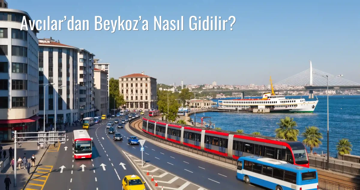 Avcılar’dan Beykoz’a Nasıl Gidilir?