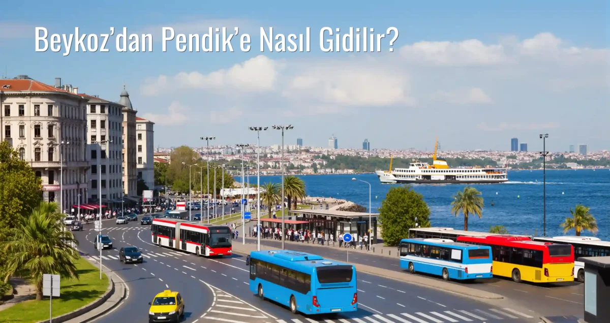 Beykoz’dan Pendik’e Nasıl Gidilir?