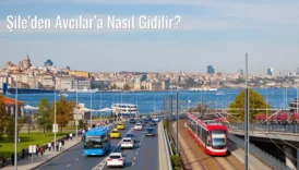 Şile’den Avcılar’a Nasıl Gidilir?