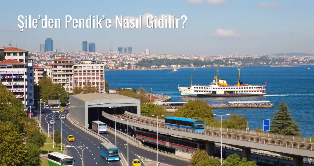 Şile’den Pendik’e Nasıl Gidilir?