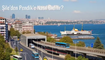 Şile’den Pendik’e Nasıl Gidilir?